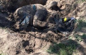 Україна Оперативна інформація з регіонів