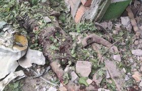 На головну 21.07.24