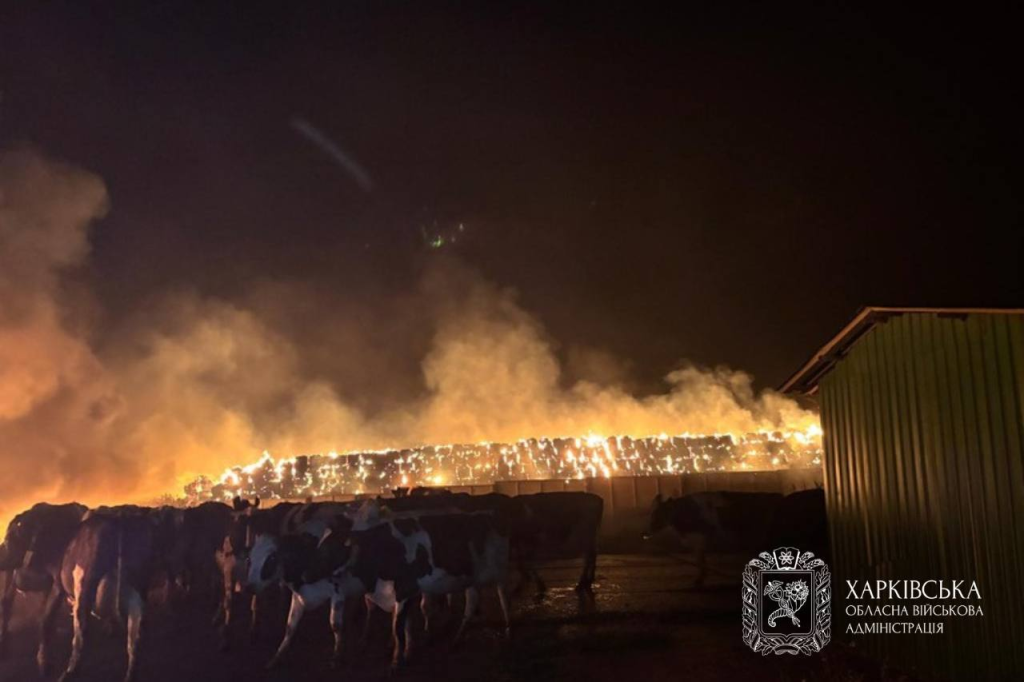 Volokhiv Yar. Photo: Regional Military Administration