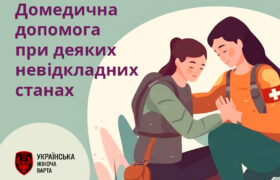 800x600_tg_Domed