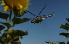 На головну 10.09.23