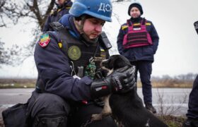 На головну 19.02.23